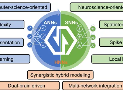 National Science Review | 混合神经网络HNN推动类脑计算